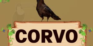 corvo