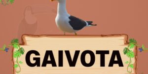 gaivota