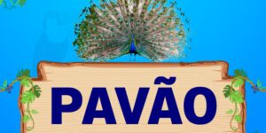 pavão