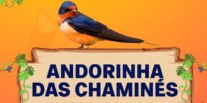 andorinha das chaminés