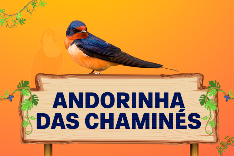 andorinha das chaminés