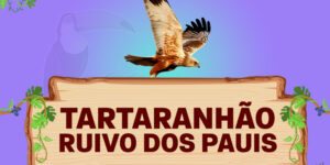 tartaranhão ruivo dos pauis