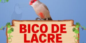 bico de lacre