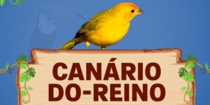 canário do reino