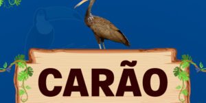 carão