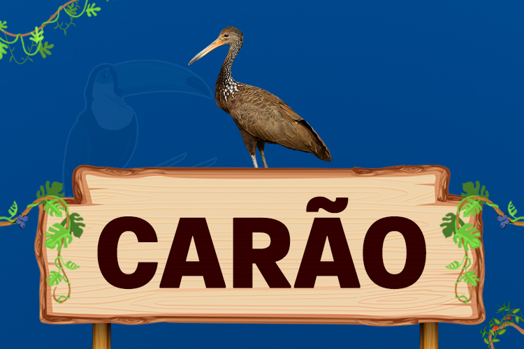 carão