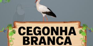 cegonha branca