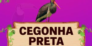 cegonha preta