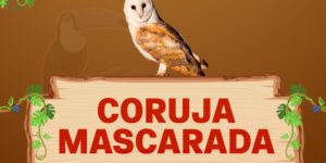 coruja mascarada