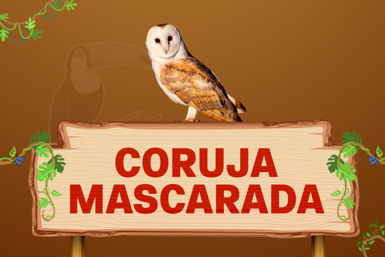 coruja mascarada