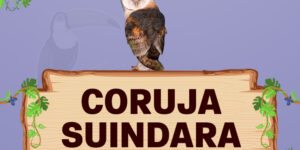 coruja suindara