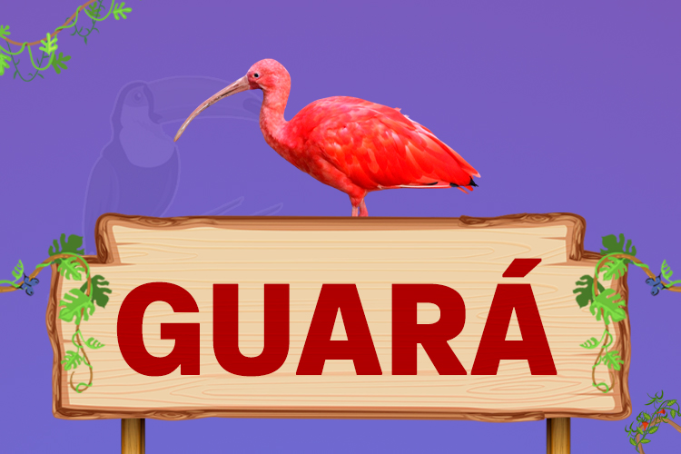 guará