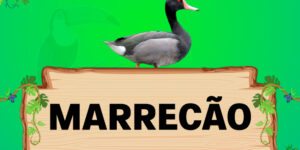 marrecão