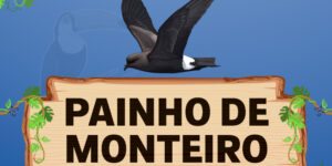 painho de monteiro