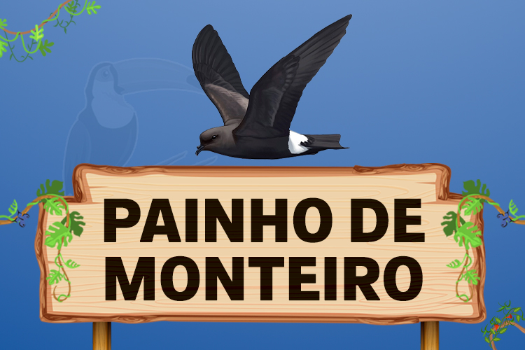 painho de monteiro