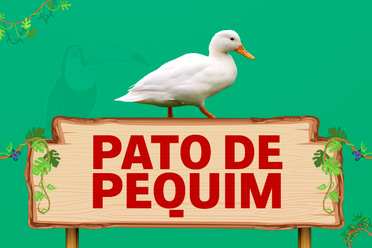 pato de pequim