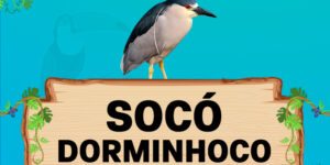 socó dorminhoco