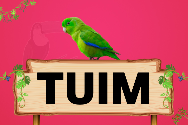 tuim