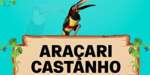 araçari castanho