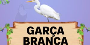 garça branca