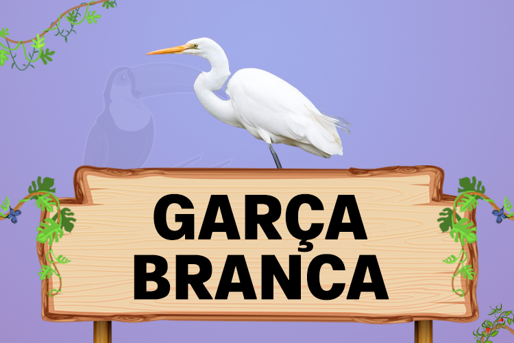 garça branca