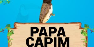 papa capim