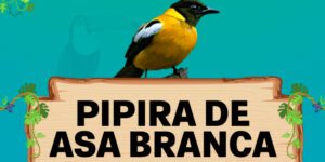 pipira de asa branca