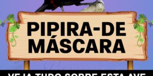 pipira de máscara