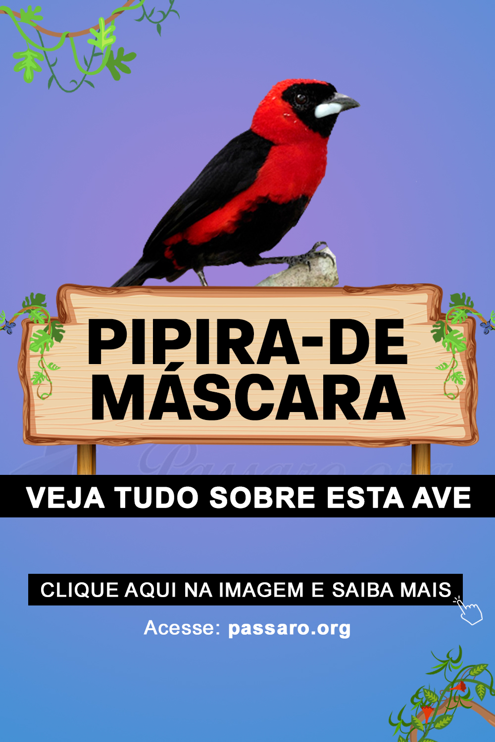 pipira de máscara