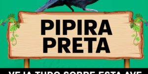 pipira preta