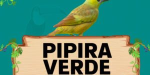 pipira verde