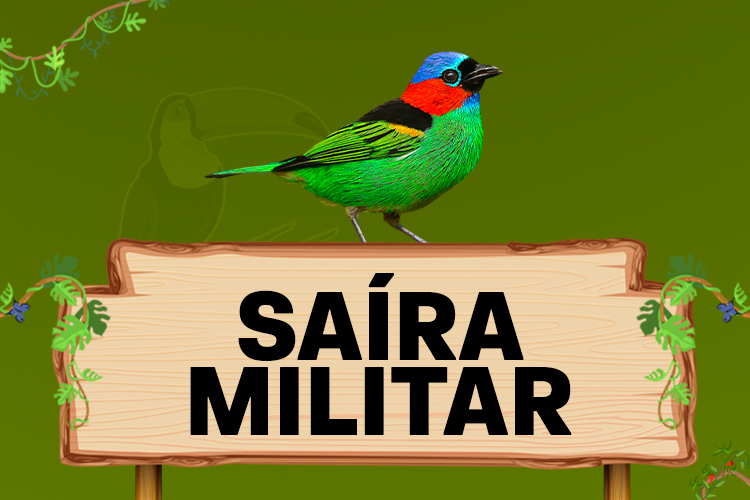 saira militar