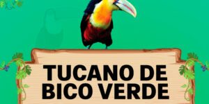 tucano de bico verde