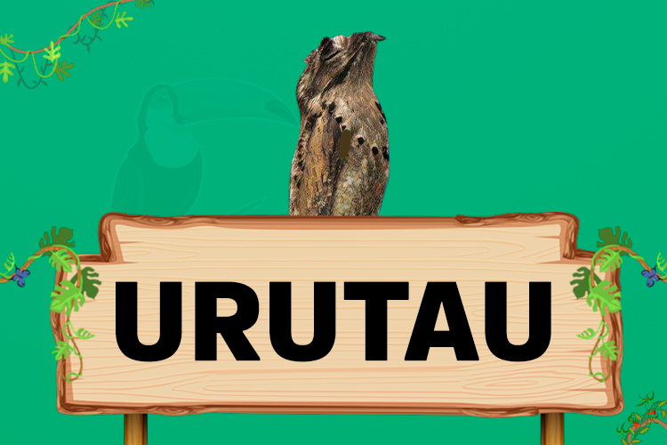 urutau