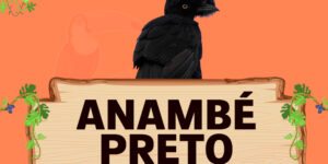 anambe preto