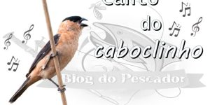 canto do caboclinho