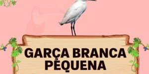 garça branca pequena