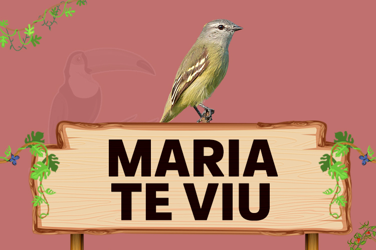 maria te viu