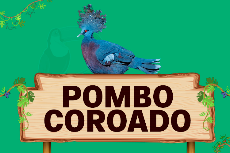 pombo coroado