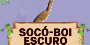 soco boi escuro