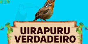 uirapuru verdadeiro