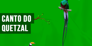 Canto do quetzal