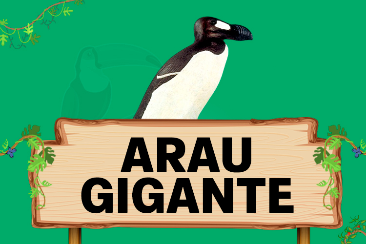 arara gigante