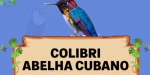 colibro abelha cubano