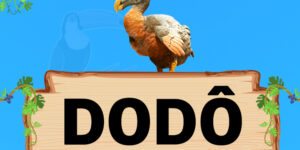 dodo