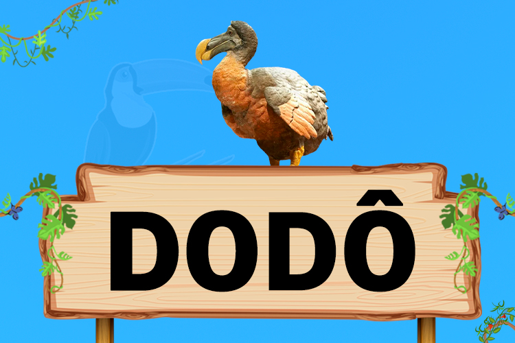 dodo