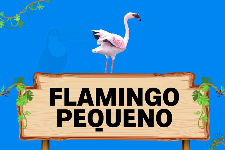 flamingo pequeno