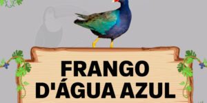 frango d'agua azul