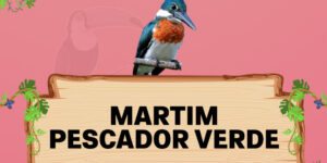 martim pescador verde