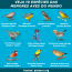 menores aves do mundo